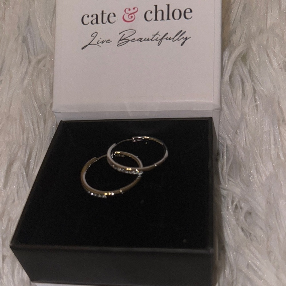 Cate & Chloe Silver Earrings - Picture 2 of 3